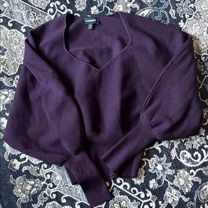 Express Women's Deep Purple V-Neck Sweater